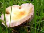 DSCN3756