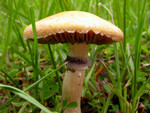 DSCN3757