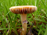 DSCN3758