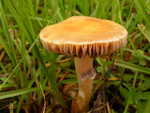 DSCN3759