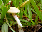 DSCN3761