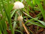 DSCN3767