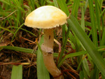 DSCN3768