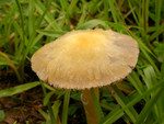 DSCN3770