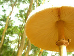 DSCN4077