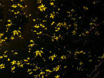DSCN2360