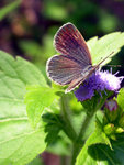 DSCN3765