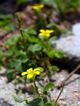 DSCN3773