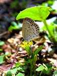 DSCN3774