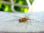 DSCN3843