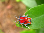 DSCN3858