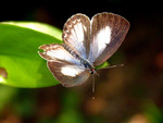 DSCN3879