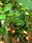 DSCN3913