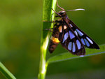 DSCN5214