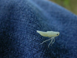 DSCN7124