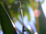 DSCN8035