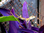 DSCN8135