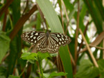 DSCN8953