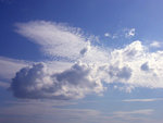 DSCN3609