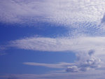 DSCN3619