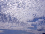DSCN3632