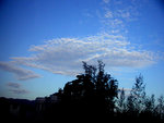 DSCN3664
