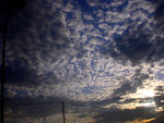 DSCN3668
