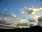DSCN5236