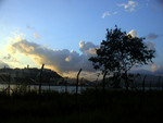 DSCN5239