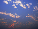 DSCN7423