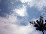 IMG_0040