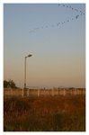 NSW_002