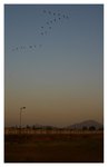 NSW_003