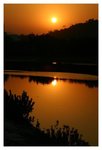 NSW_IMG_7407