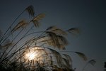 Sophie_IMG_6840