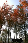Sophie_IMG_6883b