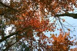 Sophie_IMG_6888