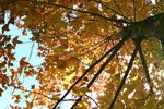 Sophie_IMG_6905