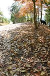 Sophie_IMG_6927