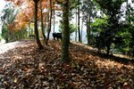 Sophie_IMG_6933