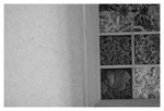 home_IMG_1770