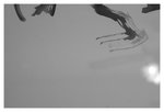 home_IMG_1782