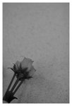 home_IMG_1832