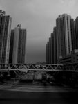 somedayRIMG0302b