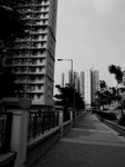 somedayRIMG0319b