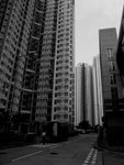 somedayRIMG0334b