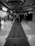 somedayRIMG0342b