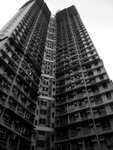 somedayRIMG0358b