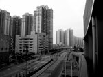 somedayRIMG0366b