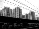 somedayRIMG0367b